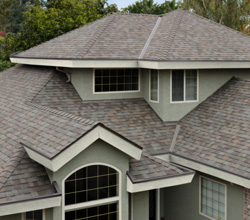 Malarkey Roofing – Highlander NEX Natural Wood